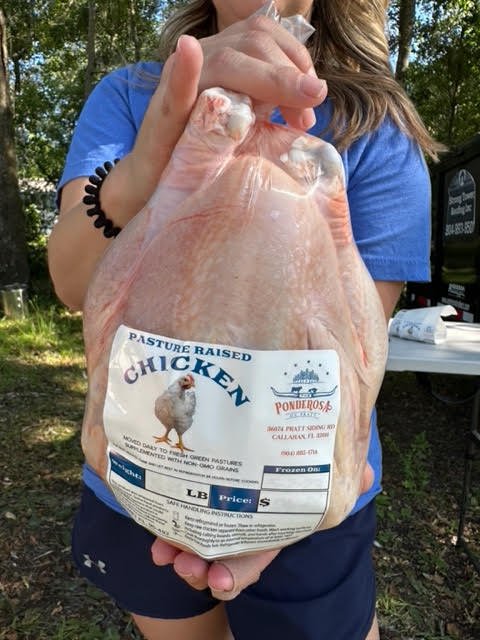 Blog 1 Chickens Pasture Raised